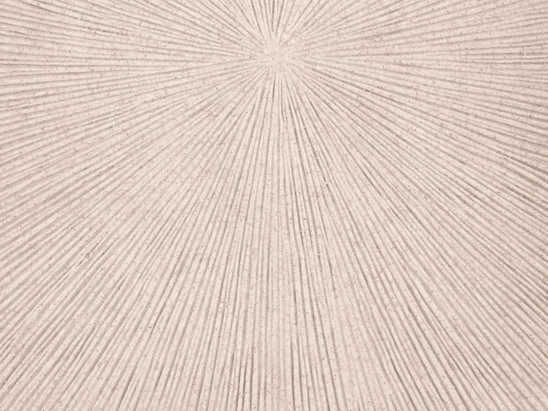 Textura con líneas en marrón lino main product photo