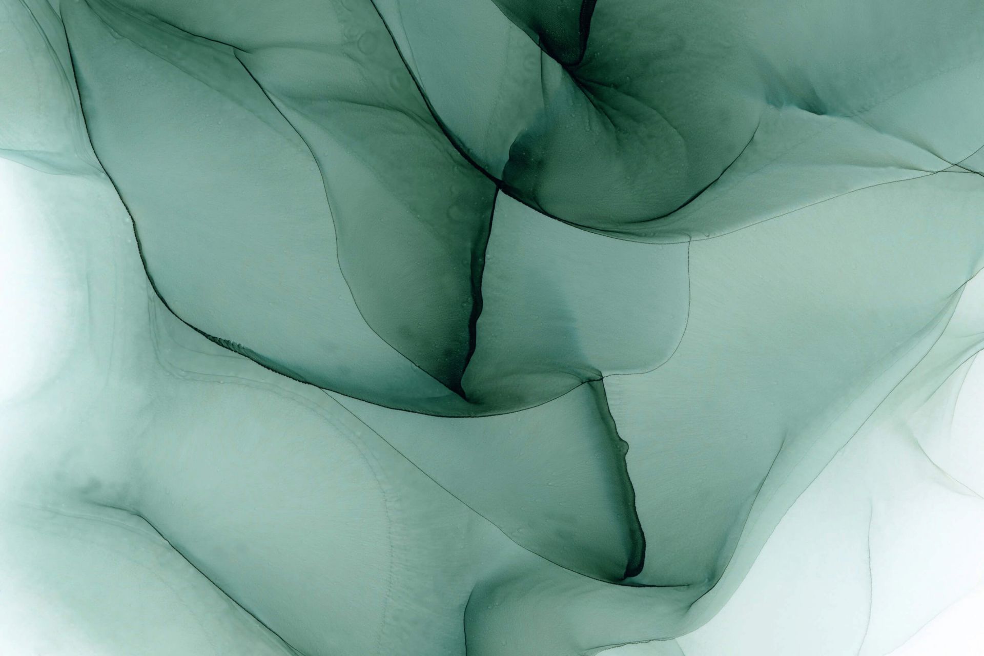 Silk main product photo