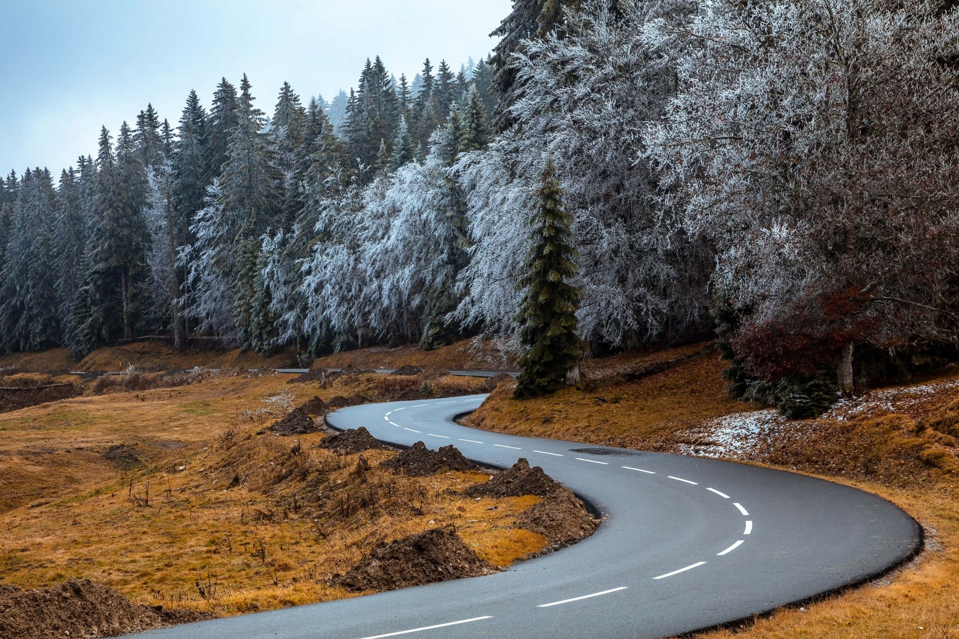 The road and the frozen trees main product photo