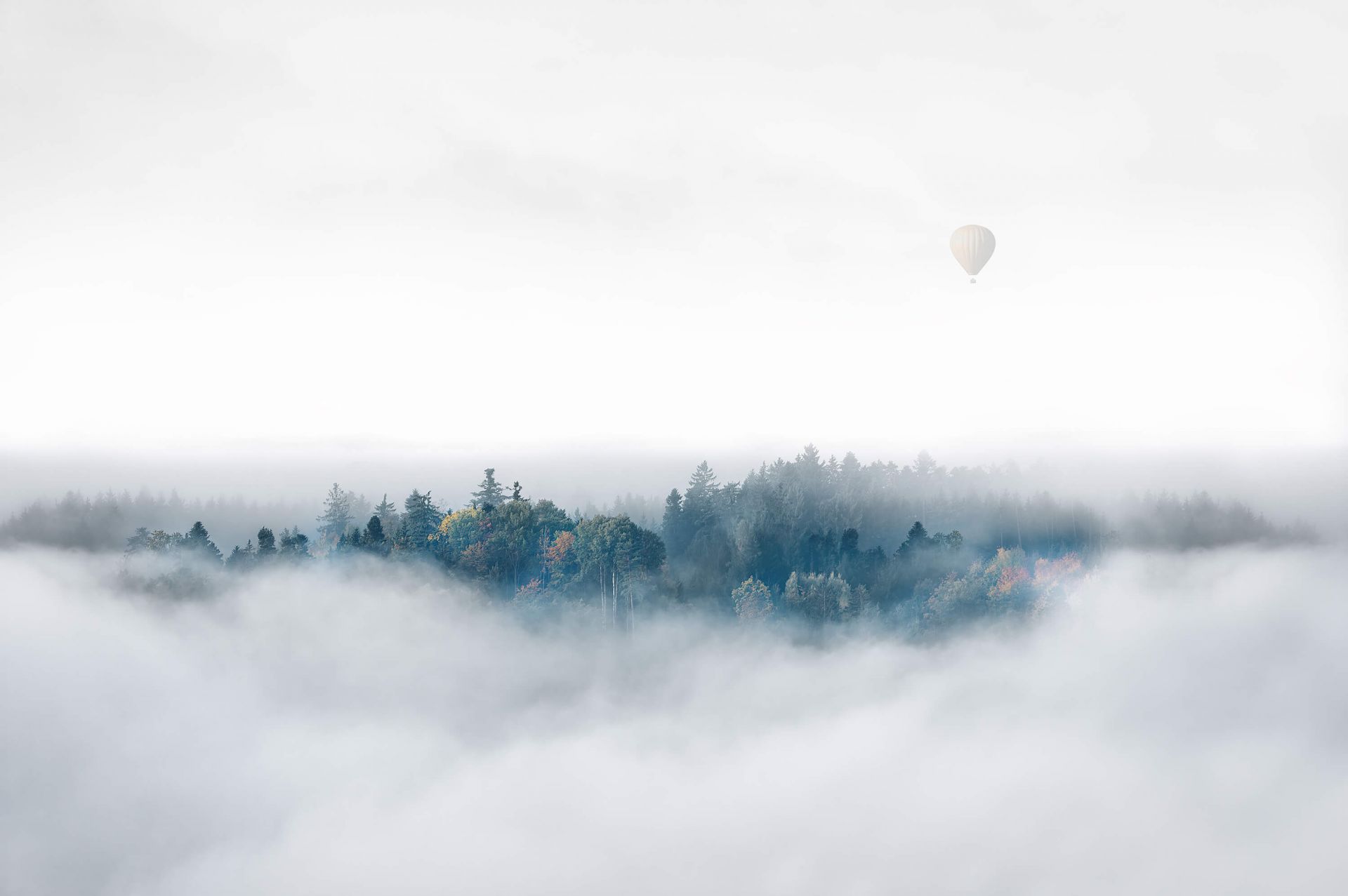 Misty Morning Surprise main product photo
