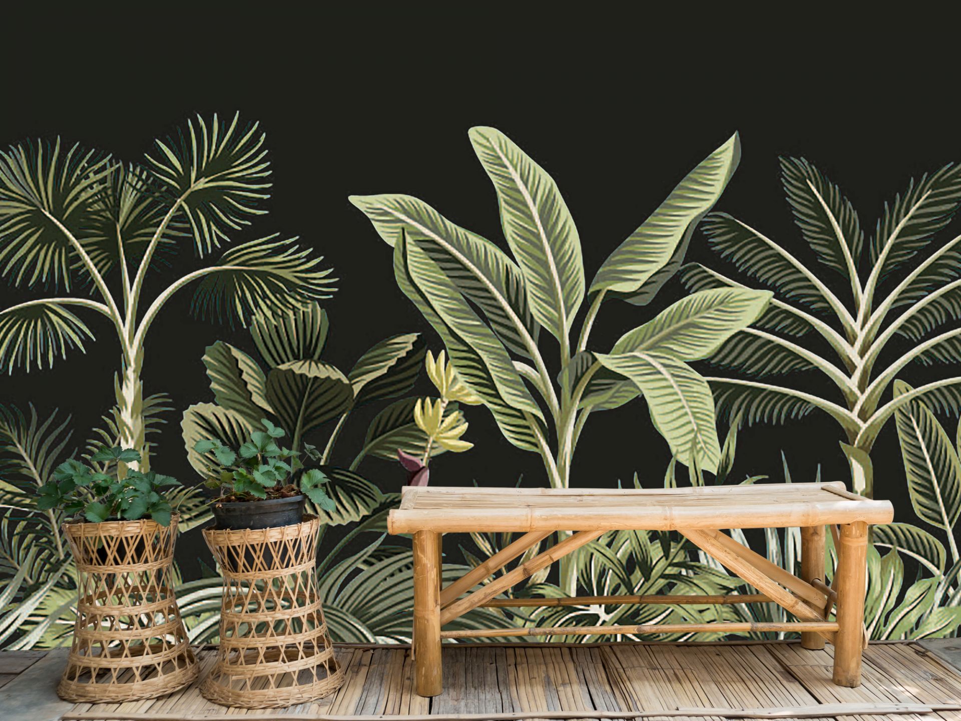 Palmera tropical sobre fondo oscuro main product photo