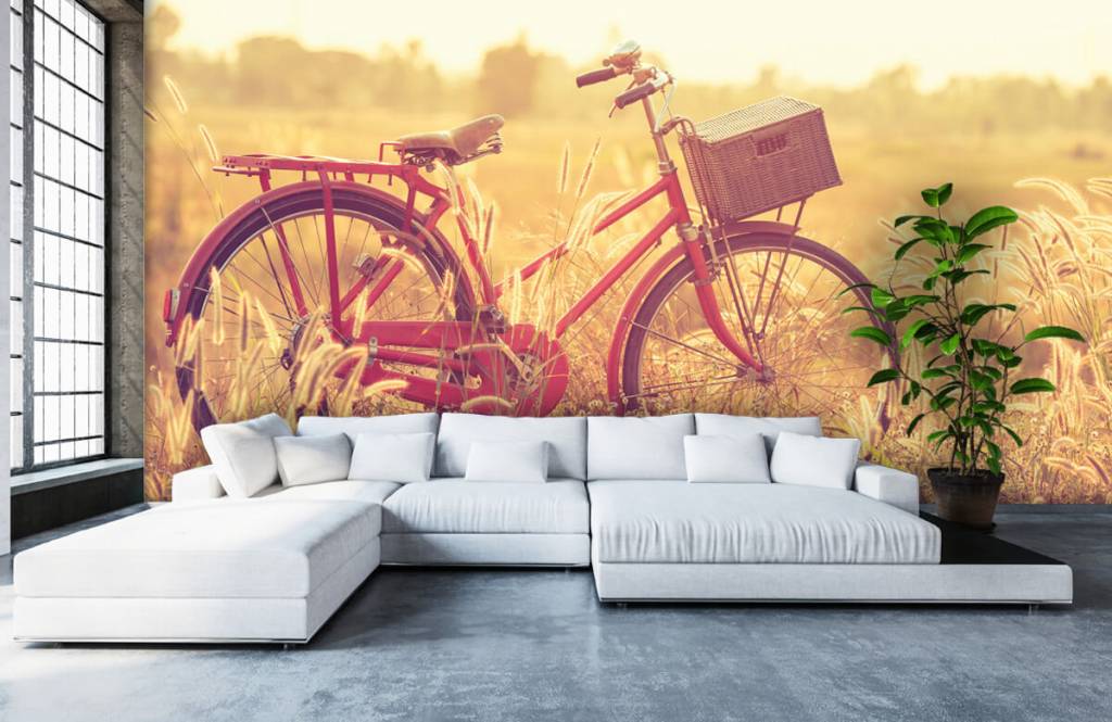 Paisaje - Papel pintado con Bicicleta de época - Habitación 5