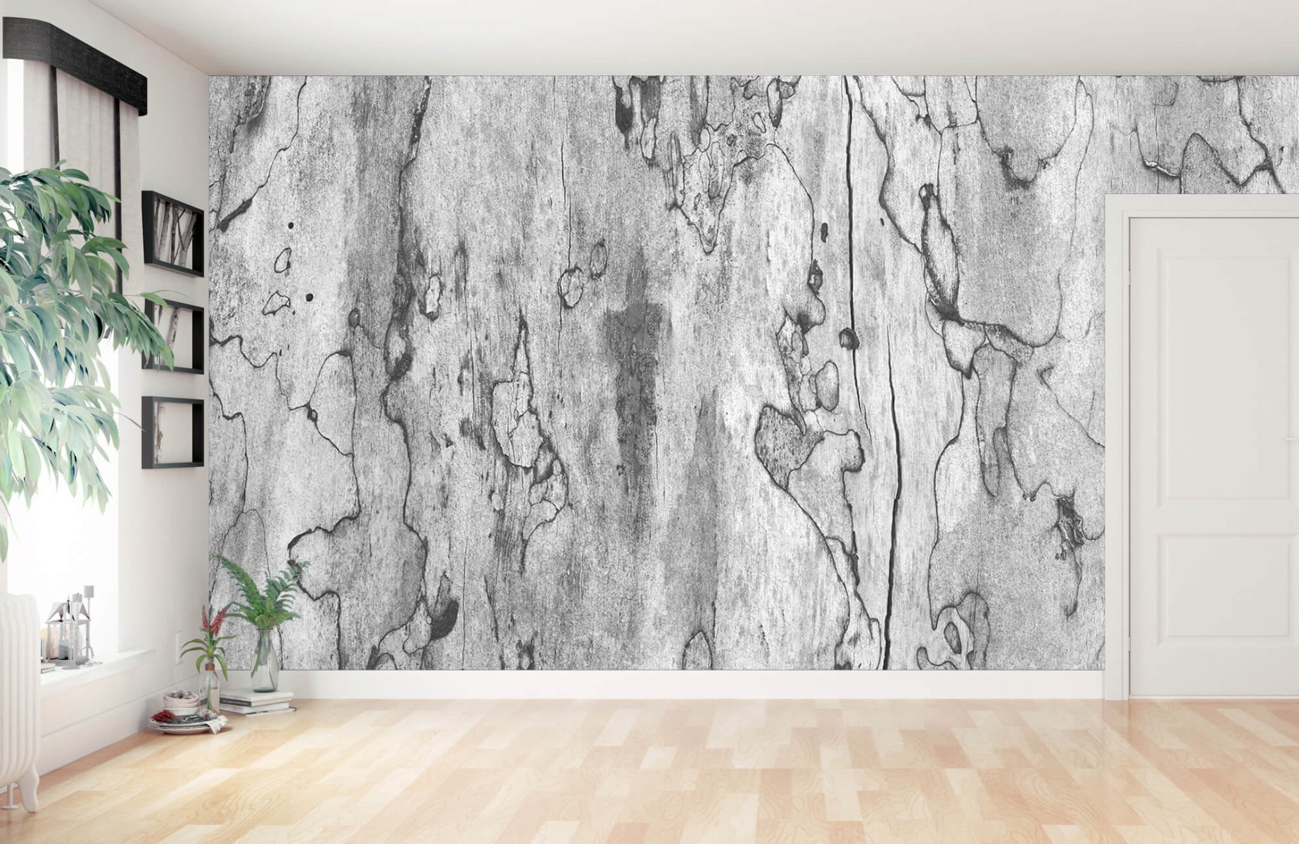 Blanco y negro - Papel pintado con Corteza de un árbol - Salón 11