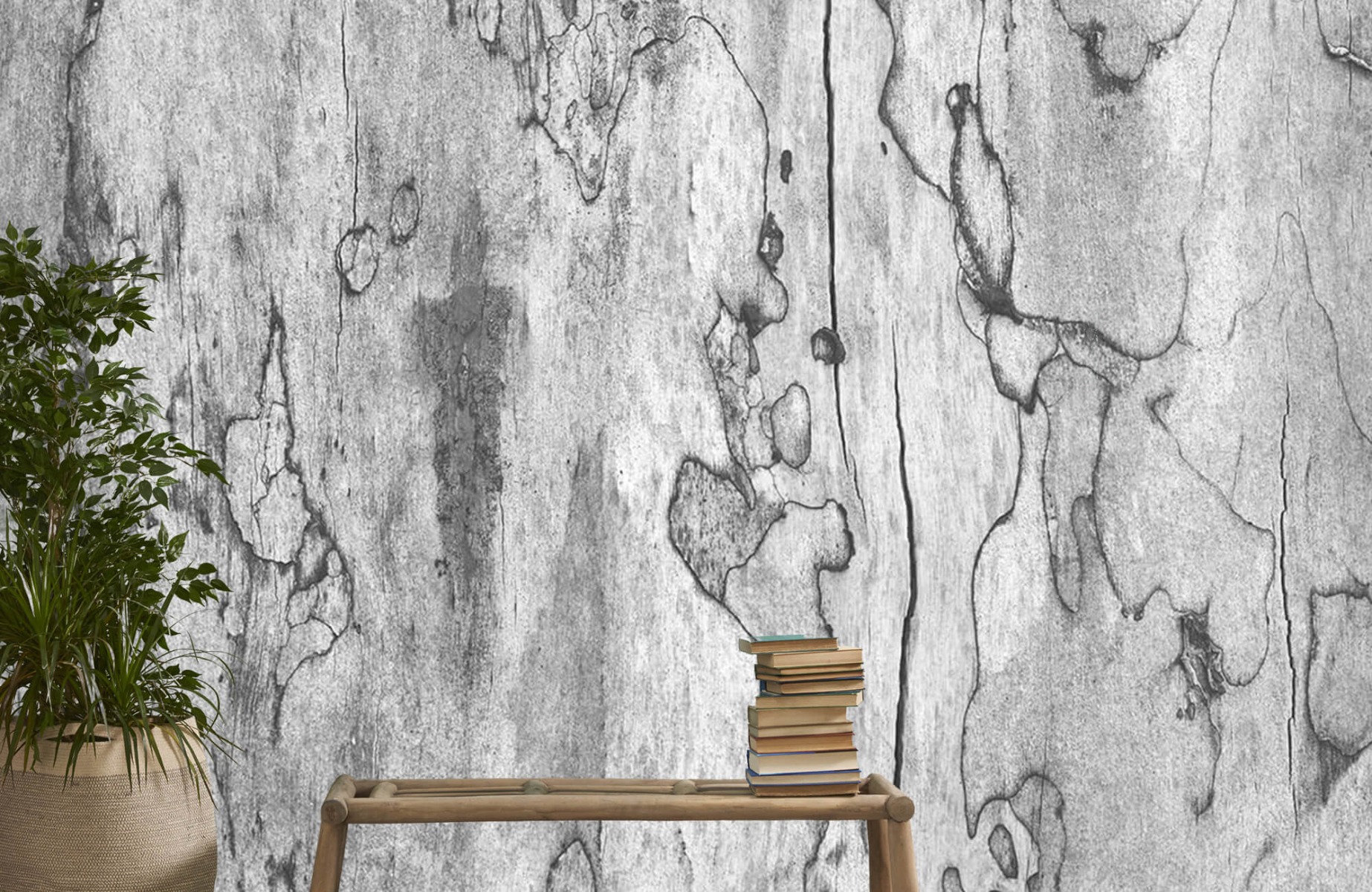 Blanco y negro - Papel pintado con Corteza de un árbol - Salón 20