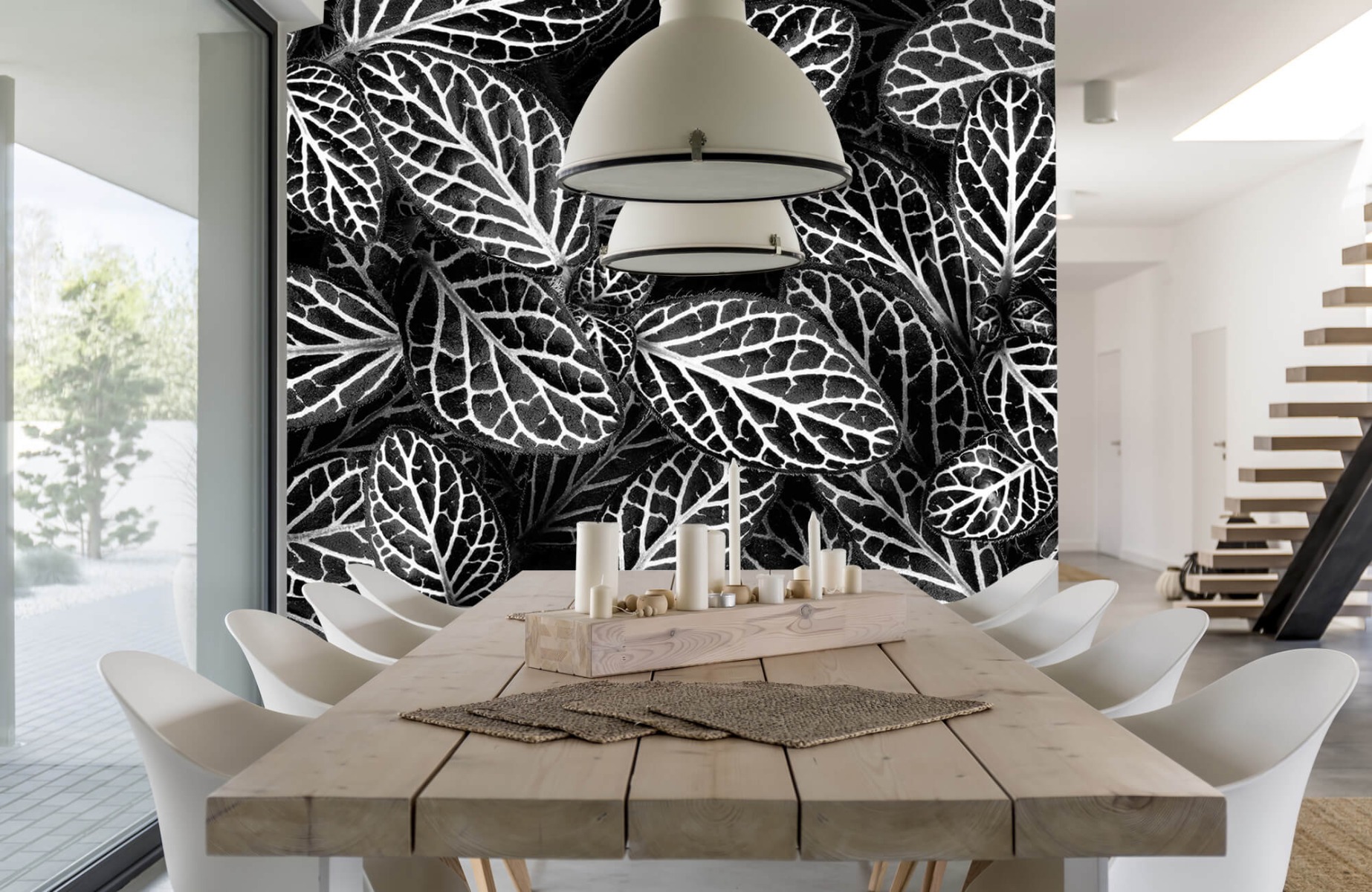 Blanco y negro - Papel pintado con Fittonia - Sala de reuniones 16
