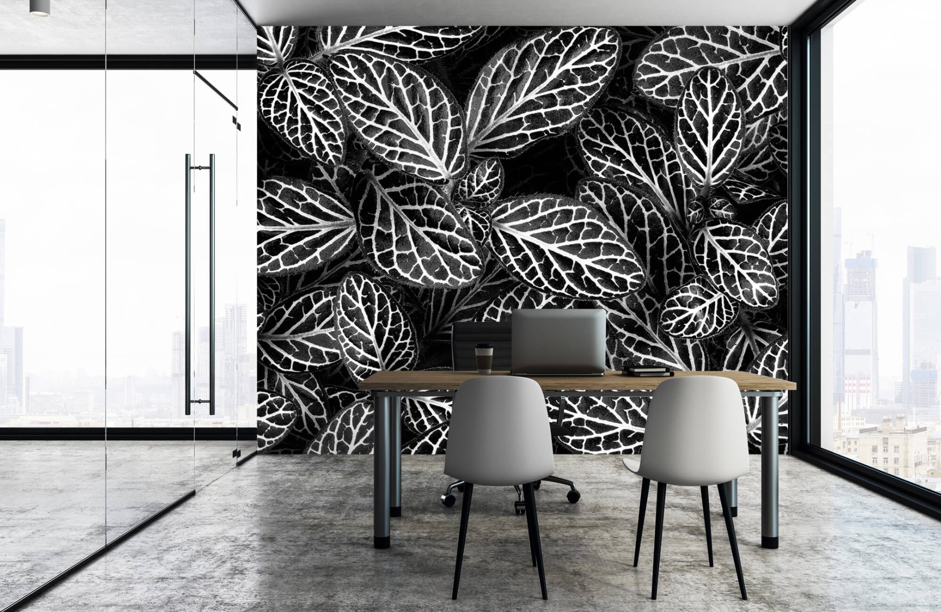 Blanco y negro - Papel pintado con Fittonia - Sala de reuniones 15