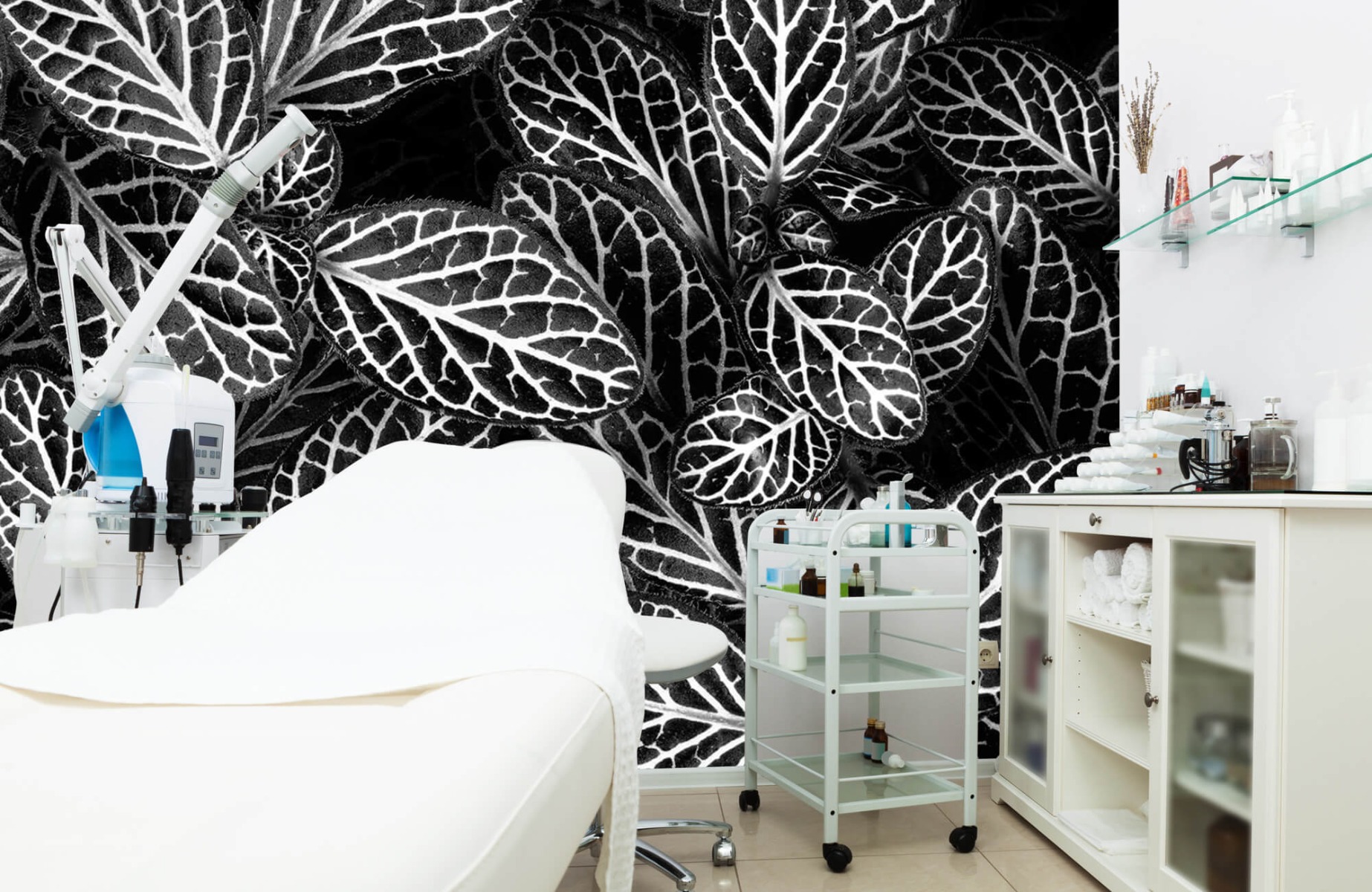 Blanco y negro - Papel pintado con Fittonia - Sala de reuniones 3