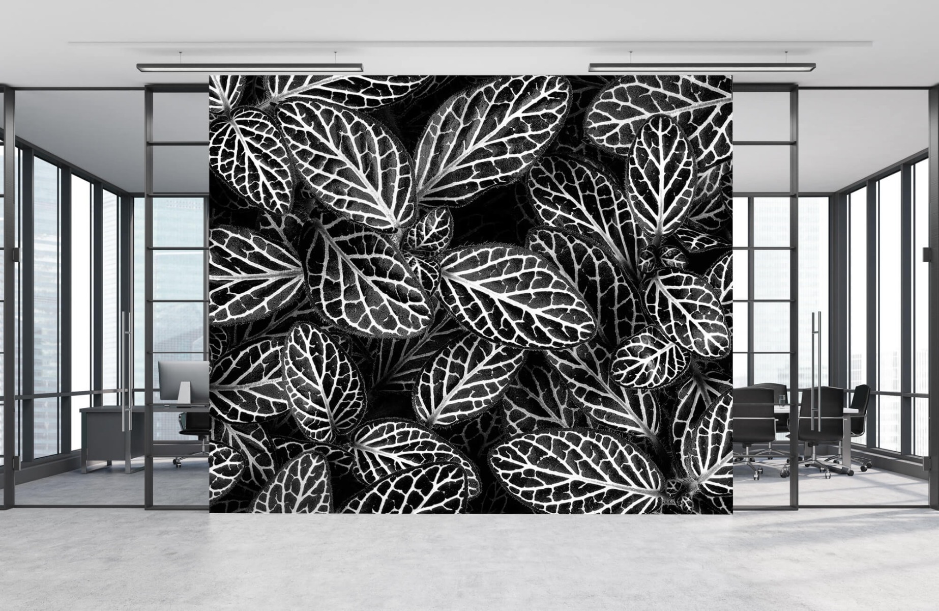 Blanco y negro - Papel pintado con Fittonia - Sala de reuniones 7