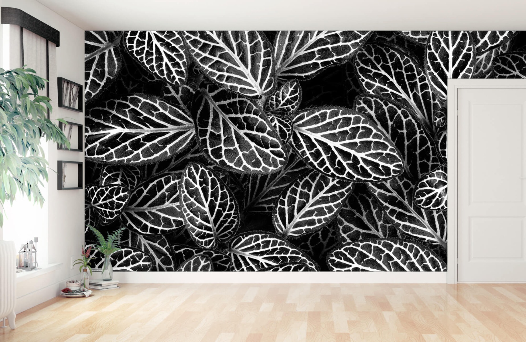 Blanco y negro - Papel pintado con Fittonia - Sala de reuniones 10
