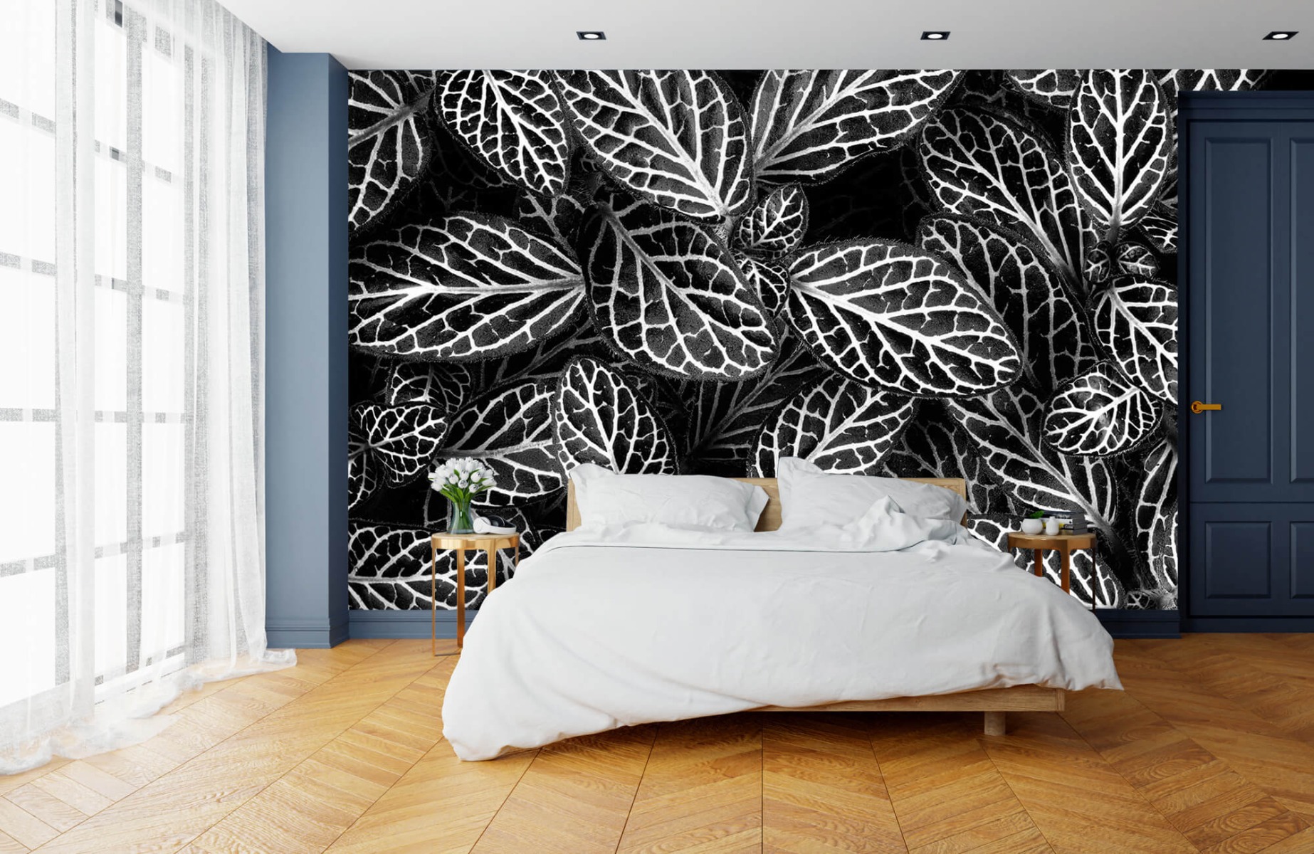 Blanco y negro - Papel pintado con Fittonia - Sala de reuniones 14