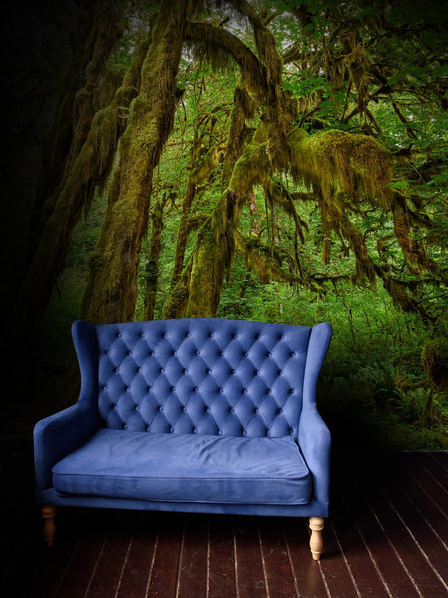 Bosque - Papel pintado con Musgo en los árboles - Salón 4