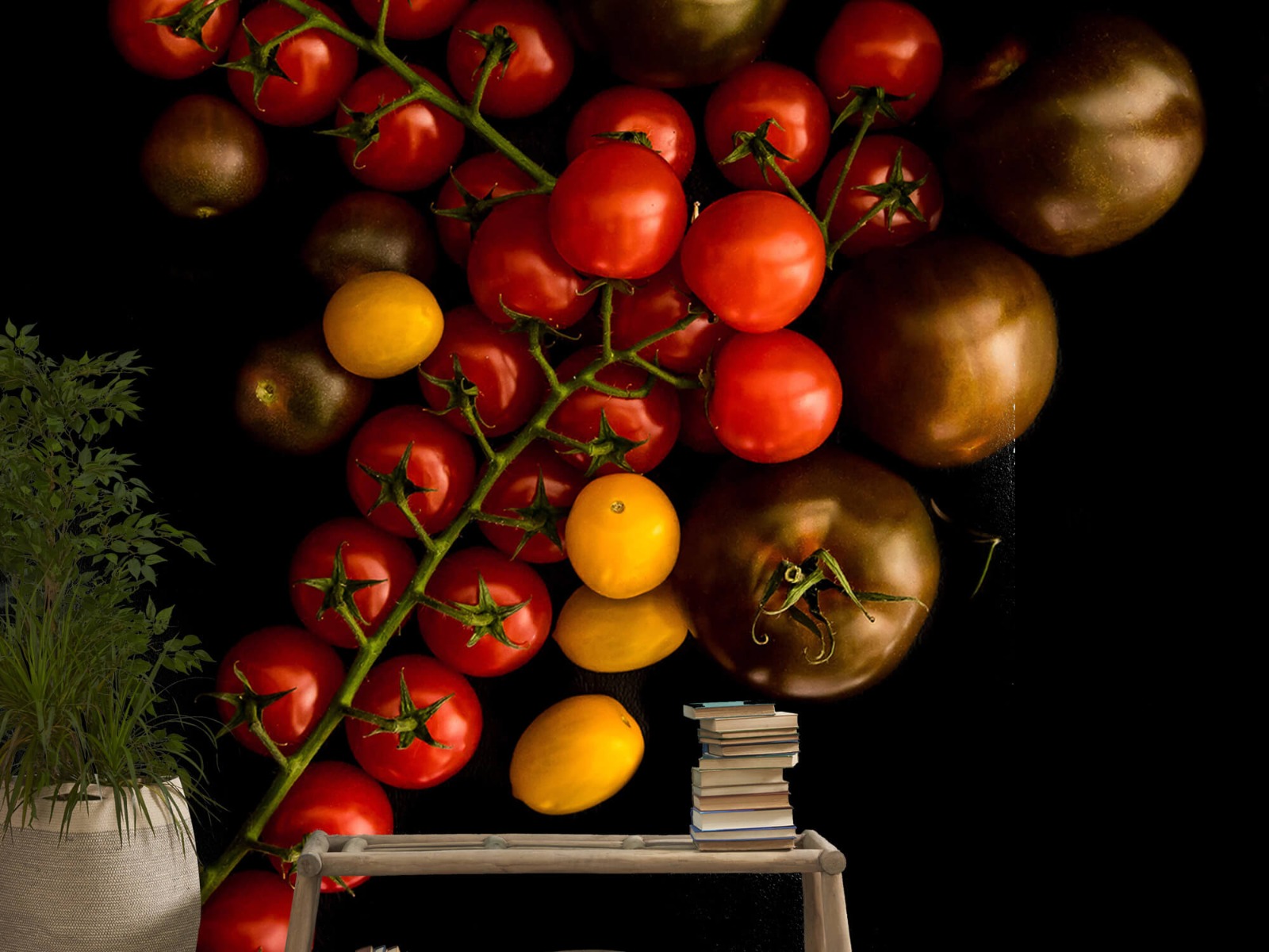 Otros - Papel pintado con Tomates - Cocina 20