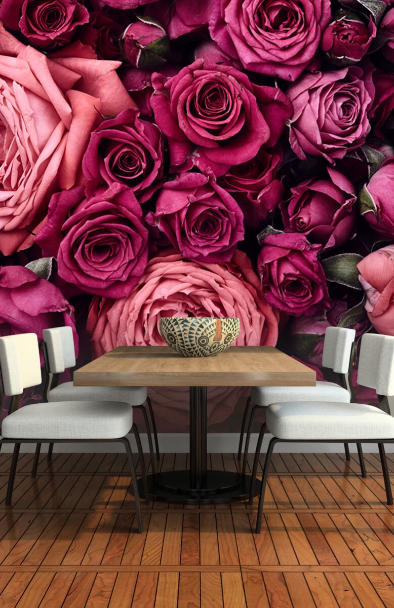 Flores, plantas y árboles Papel pintado con Rosas rosas - Habitación 6