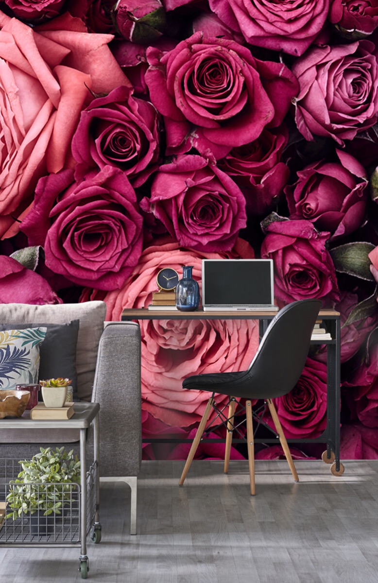 Flores, plantas y árboles Papel pintado con Rosas rosas - Habitación 1