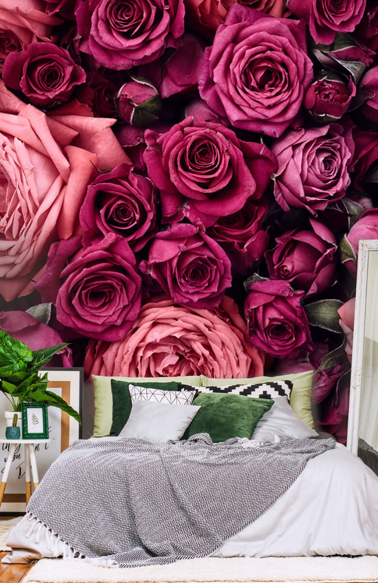 Flores, plantas y árboles Papel pintado con Rosas rosas - Habitación 13