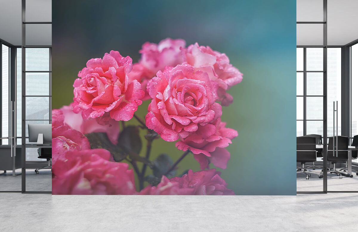 Flores, plantas y árboles Papel pintado con Rama de rosa rosa - Habitación 4