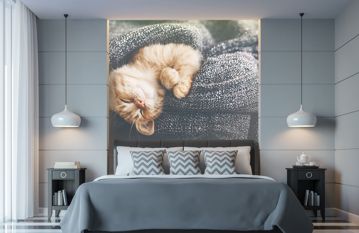 Animales Papel pintado con Gato dormido - Habitación de niña 9