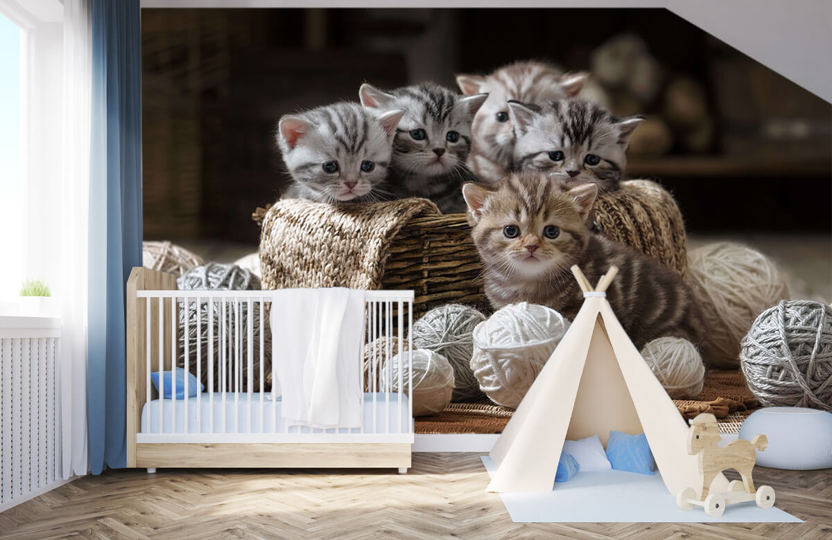 Animales Papel pintado con Gatitos con lana - Habitación de niña 1