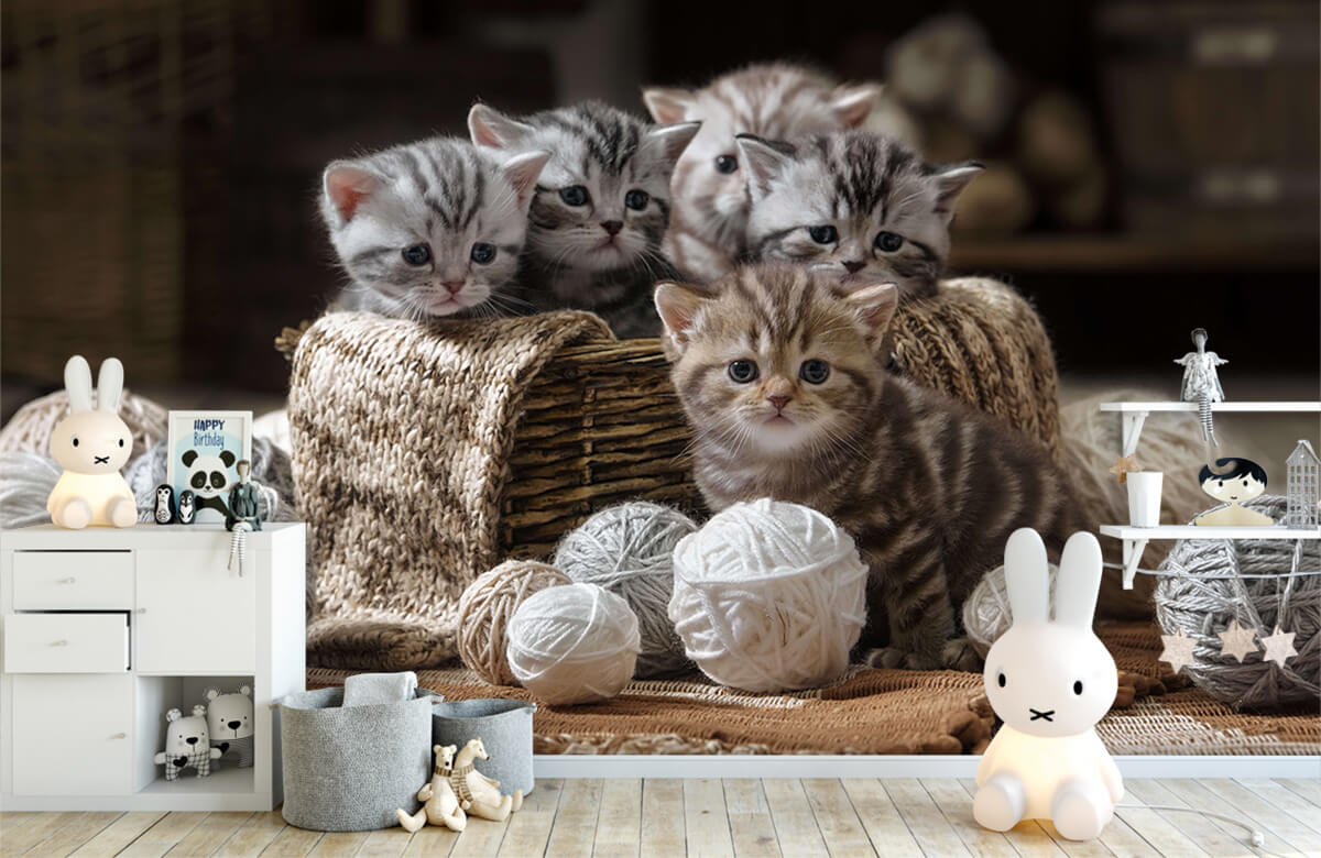 Animales Papel pintado con Gatitos con lana - Habitación de niña 4