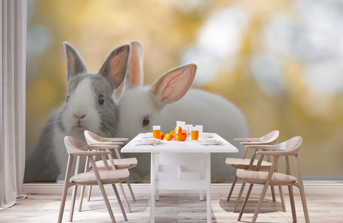 Animales Papel pintado con Primer plano de conejos - Habitación de los niños 3