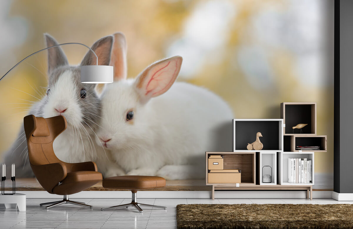 Animales Papel pintado con Primer plano de conejos - Habitación de los niños 7