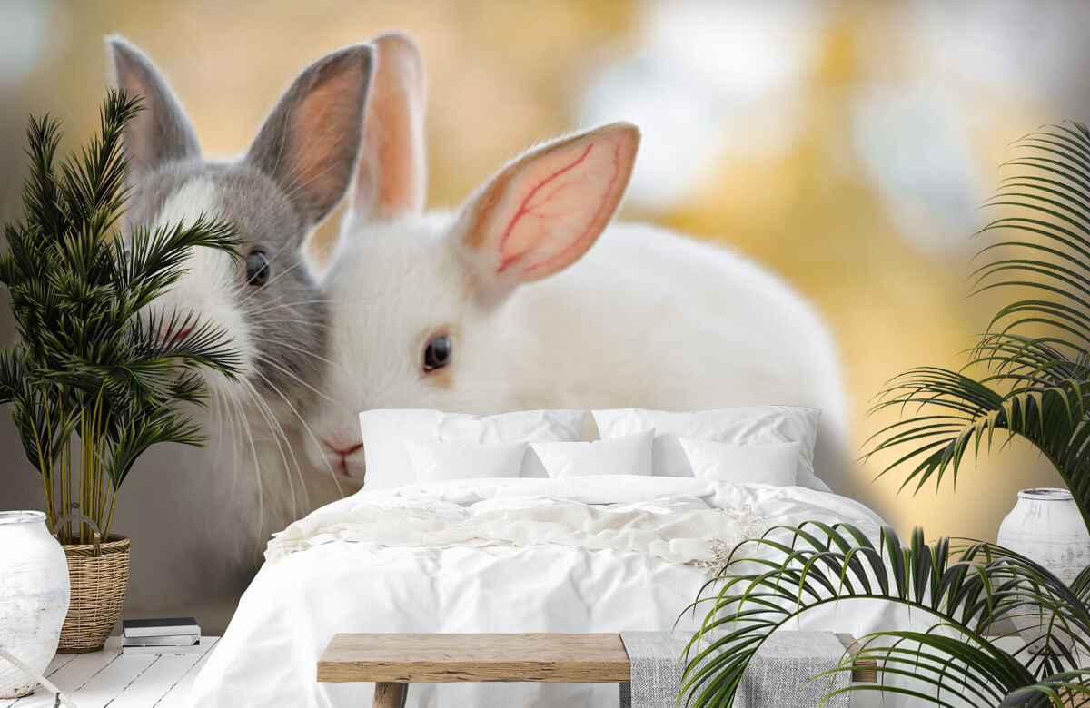 Animales Papel pintado con Primer plano de conejos - Habitación de los niños 9