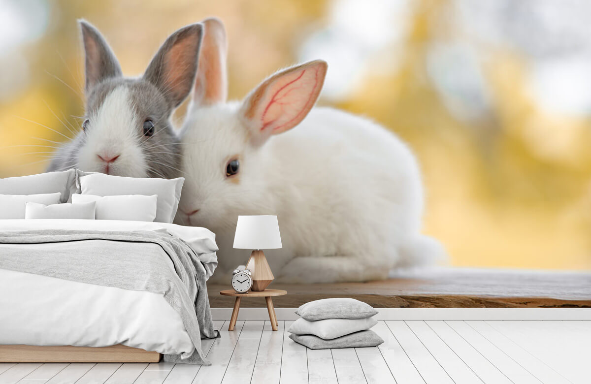Animales Papel pintado con Primer plano de conejos - Habitación de los niños 5