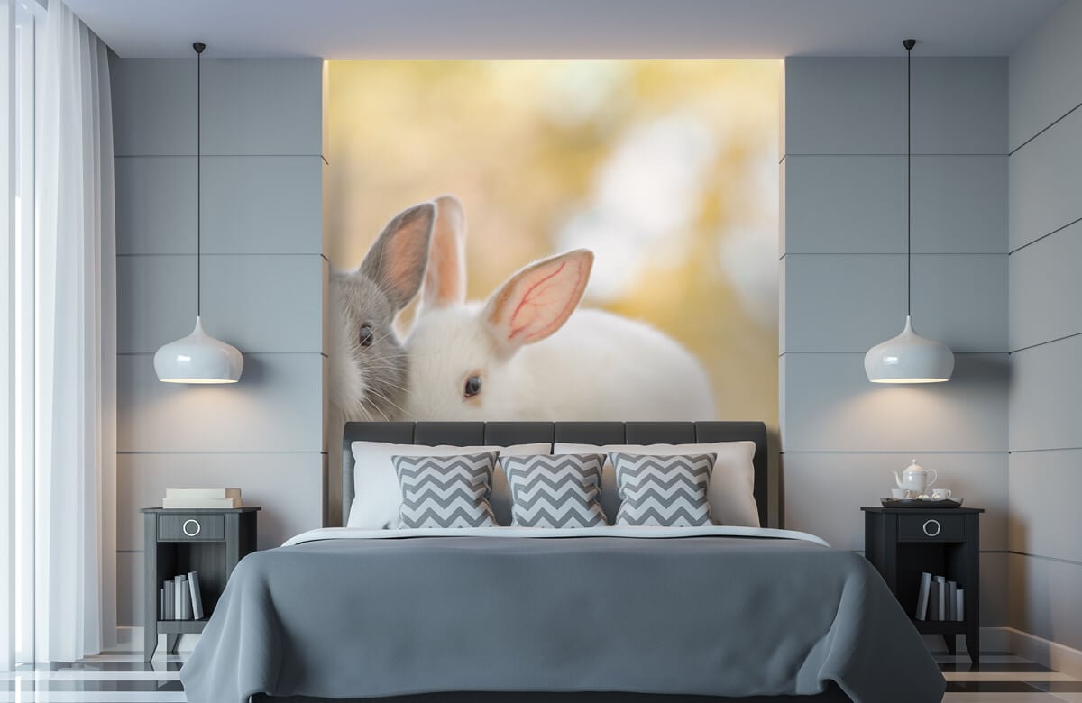 Animales Papel pintado con Primer plano de conejos - Habitación de los niños 11