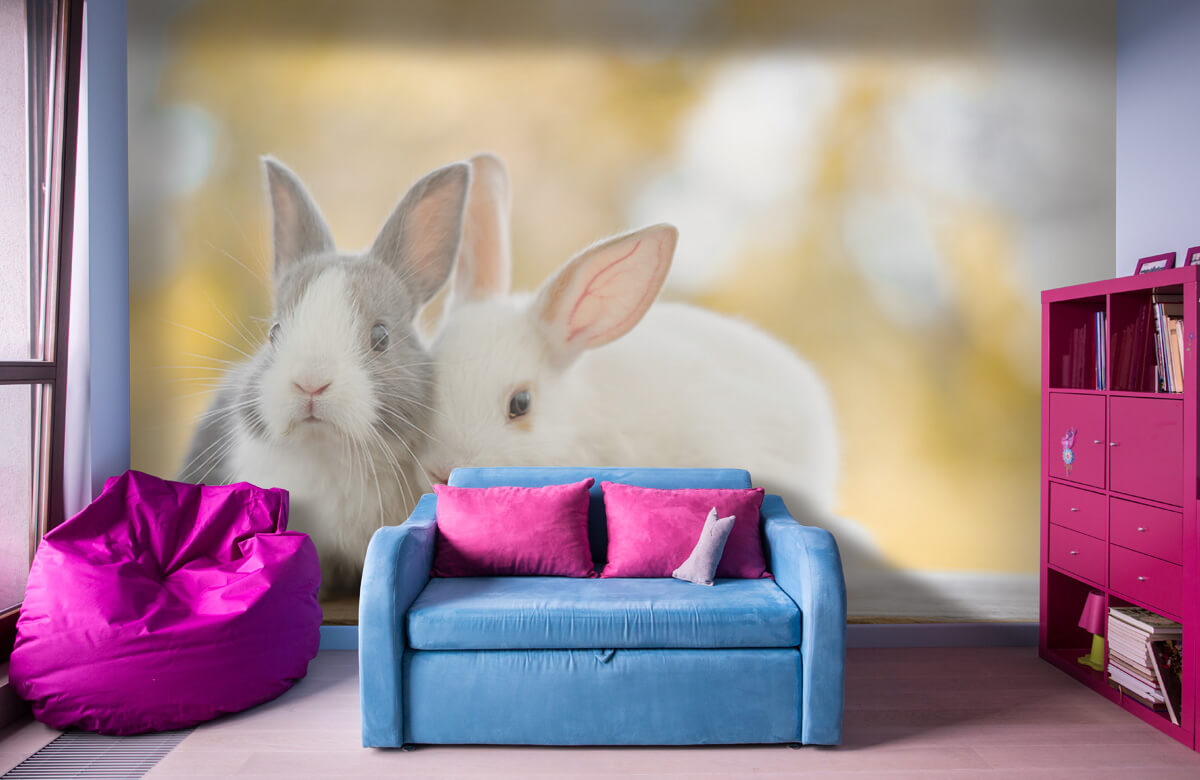 Animales Papel pintado con Primer plano de conejos - Habitación de los niños 1