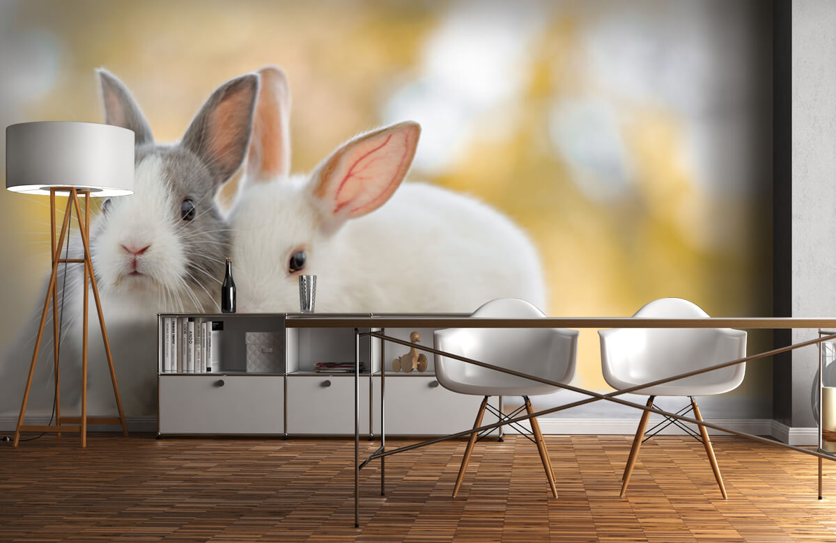 Animales Papel pintado con Primer plano de conejos - Habitación de los niños 10