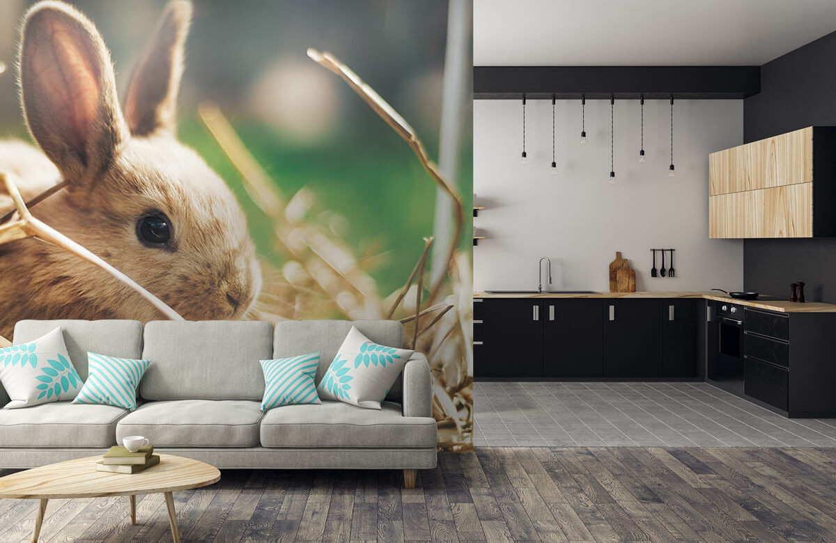 Animales Papel pintado con Conejo en la paja - Habitación de los niños 10