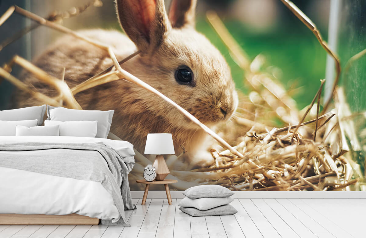 Animales Papel pintado con Conejo en la paja - Habitación de los niños 8