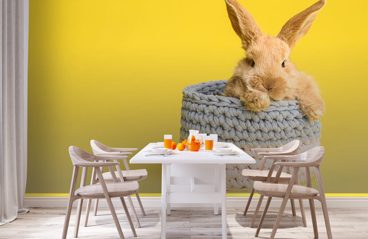 Animales Papel pintado con Conejo en la cesta - Habitación de los niños 3