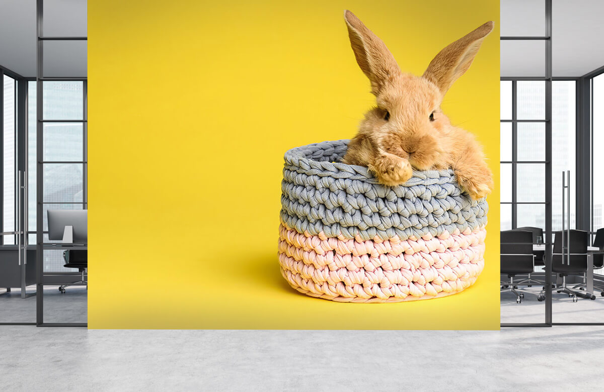 Animales Papel pintado con Conejo en la cesta - Habitación de los niños 7