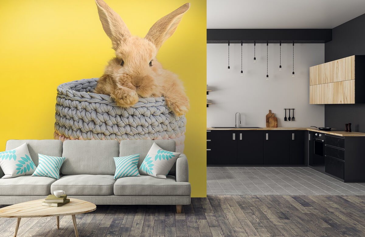 Animales Papel pintado con Conejo en la cesta - Habitación de los niños 10
