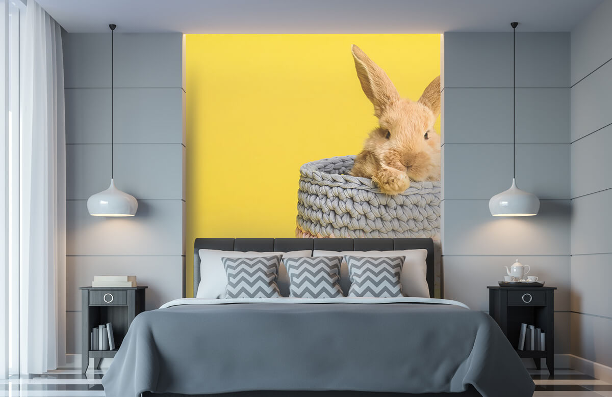 Animales Papel pintado con Conejo en la cesta - Habitación de los niños 11