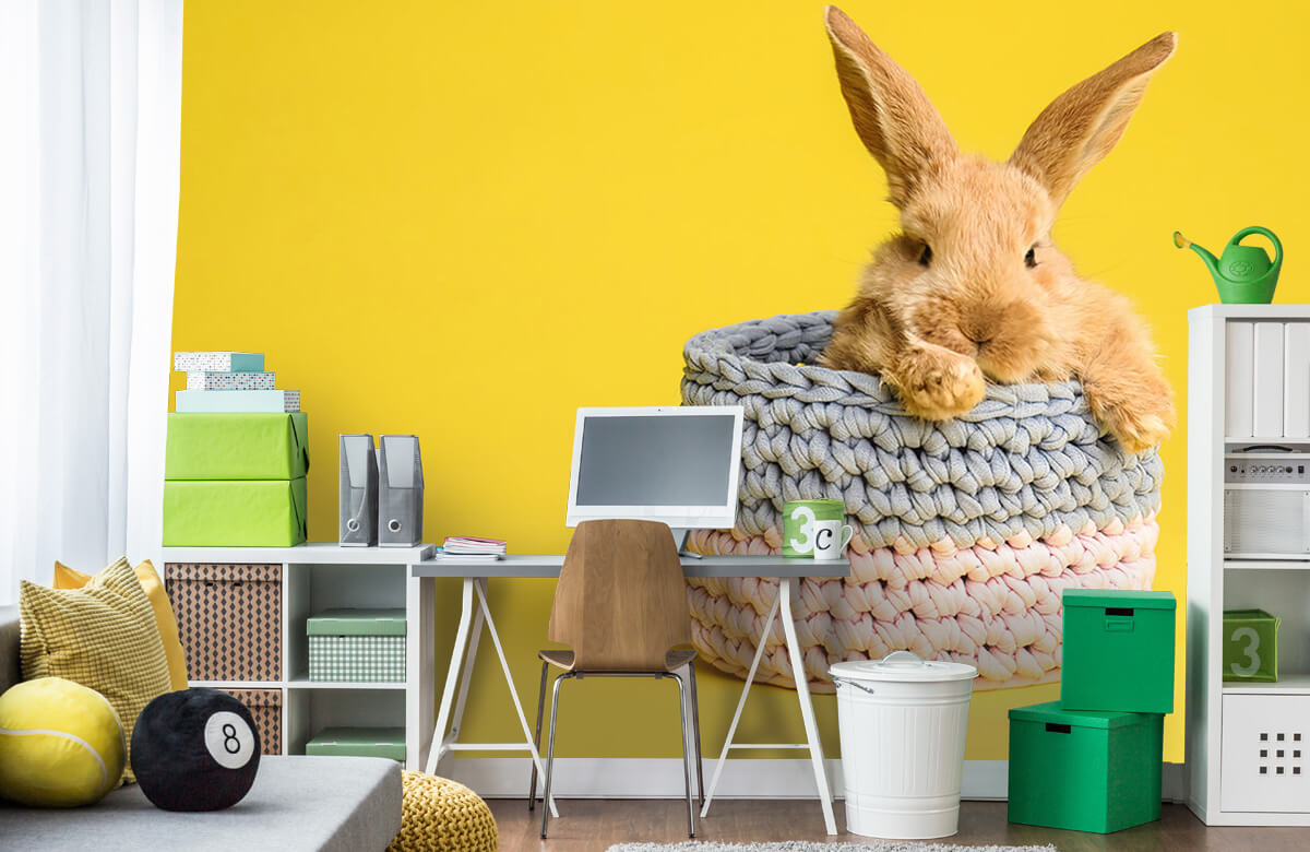 Animales Papel pintado con Conejo en la cesta - Habitación de los niños 1