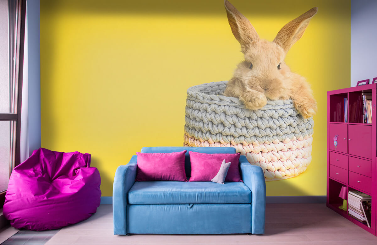 Animales Papel pintado con Conejo en la cesta - Habitación de los niños 4