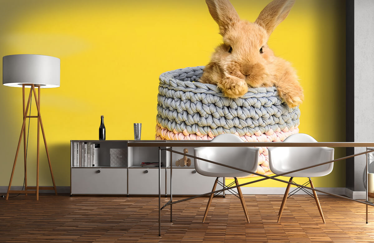Animales Papel pintado con Conejo en la cesta - Habitación de los niños 2