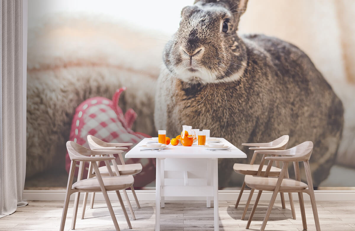 Animales Papel pintado con Conejo con corazón - Habitación de los niños 3