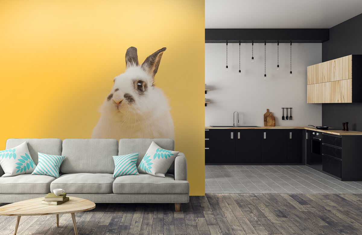 Animales Papel pintado con Posando el conejo - Habitación de los niños 10