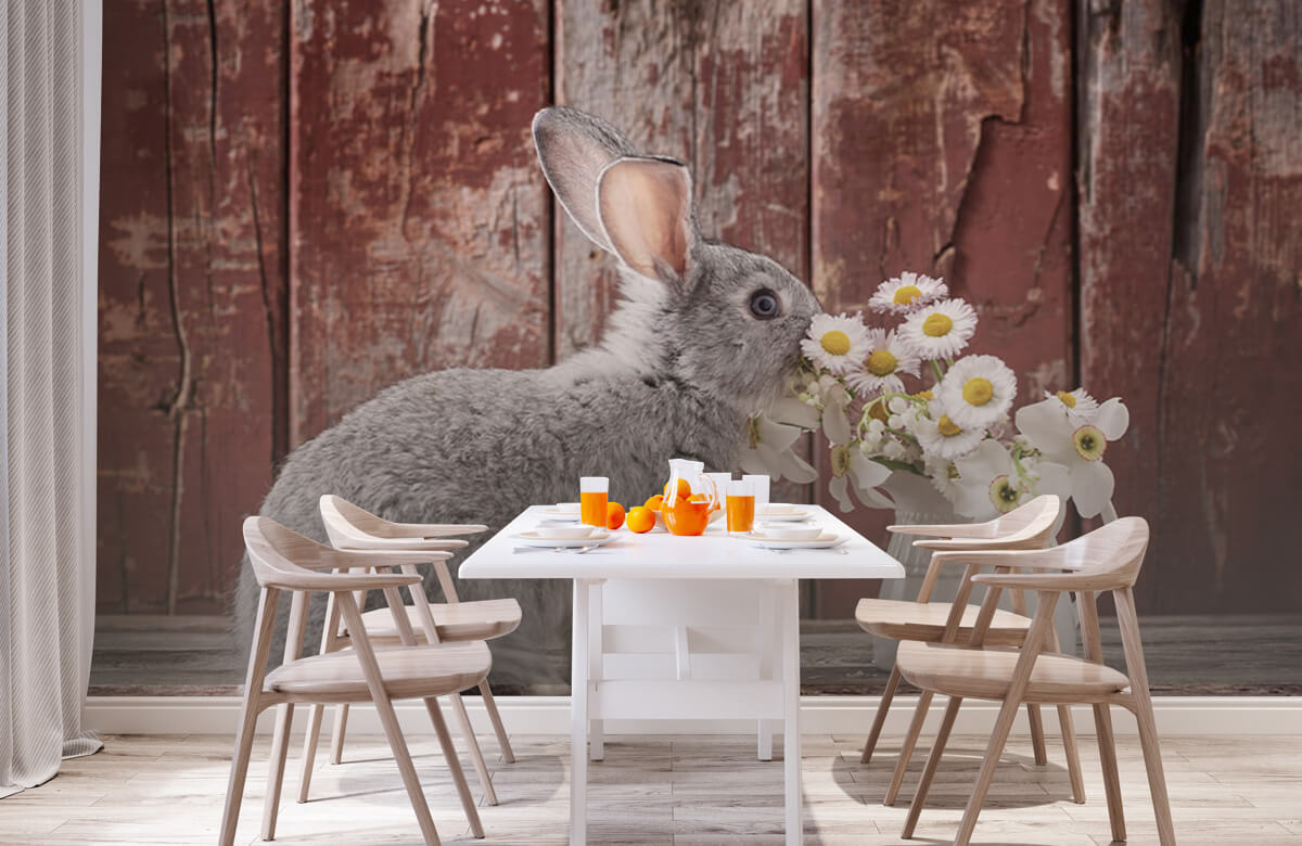 Animales Papel pintado con Conejo con margaritas - Habitación de los niños 3