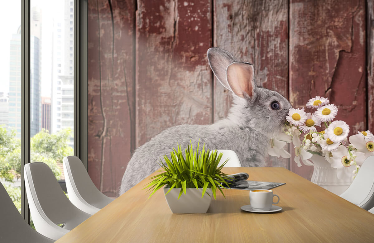 Animales Papel pintado con Conejo con margaritas - Habitación de los niños 4