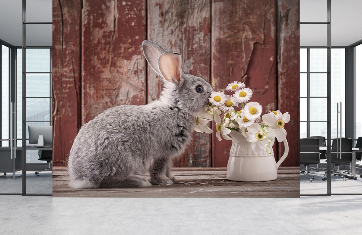 Animales Papel pintado con Conejo con margaritas - Habitación de los niños 7