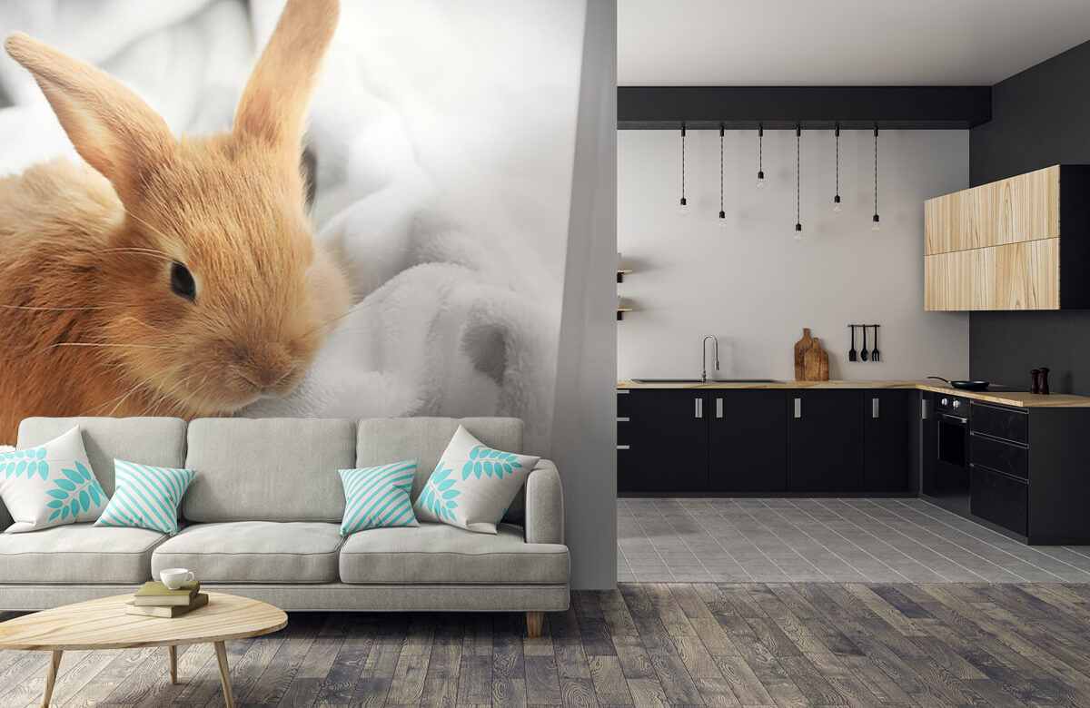 Animales Papel pintado con Conejo marrón - Habitación de los niños 8