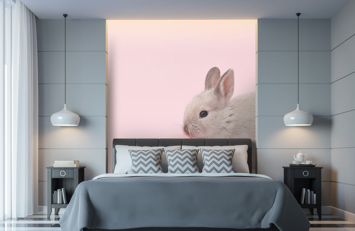 Animales Papel pintado con Conejo con huevo - Habitación de los niños 11