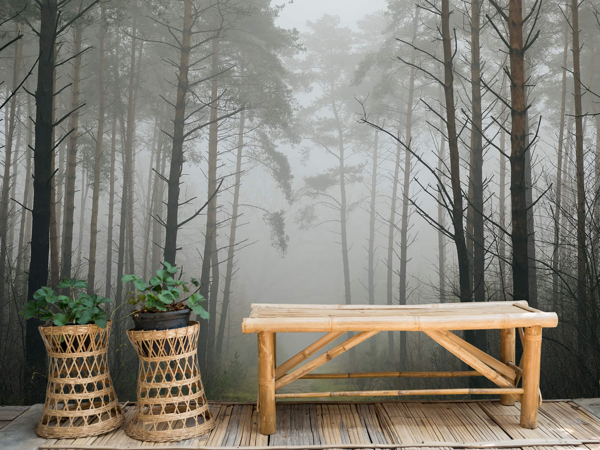 Naturaleza Papel pintado con Sendero en un bosque con niebla - Salón 1