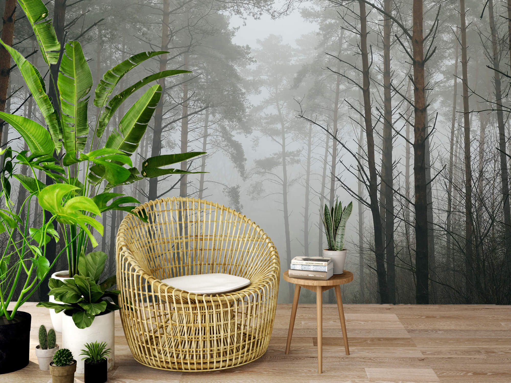 Naturaleza Papel pintado con Sendero en un bosque con niebla - Salón 6