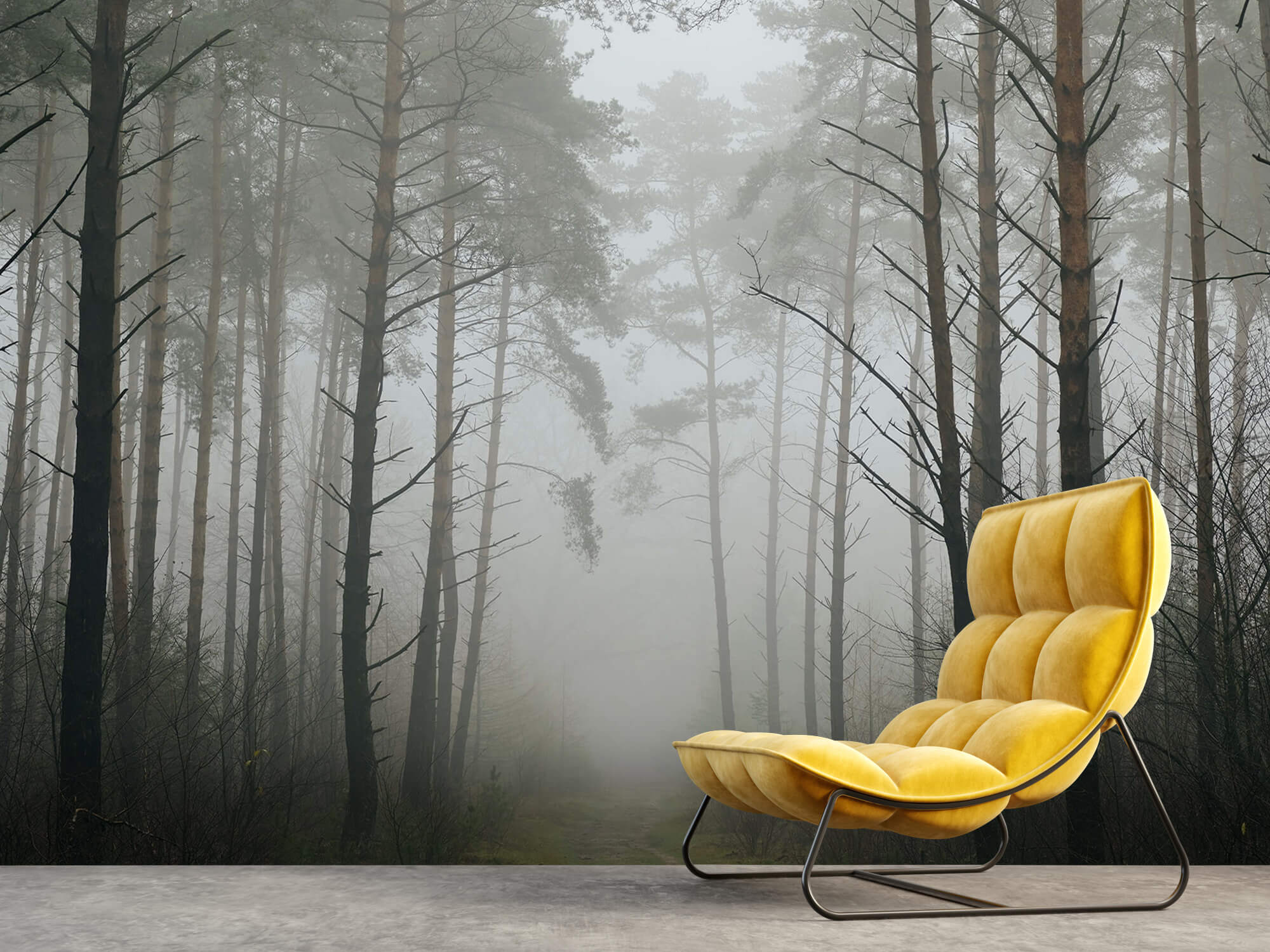 Naturaleza Papel pintado con Sendero en un bosque con niebla - Salón 3