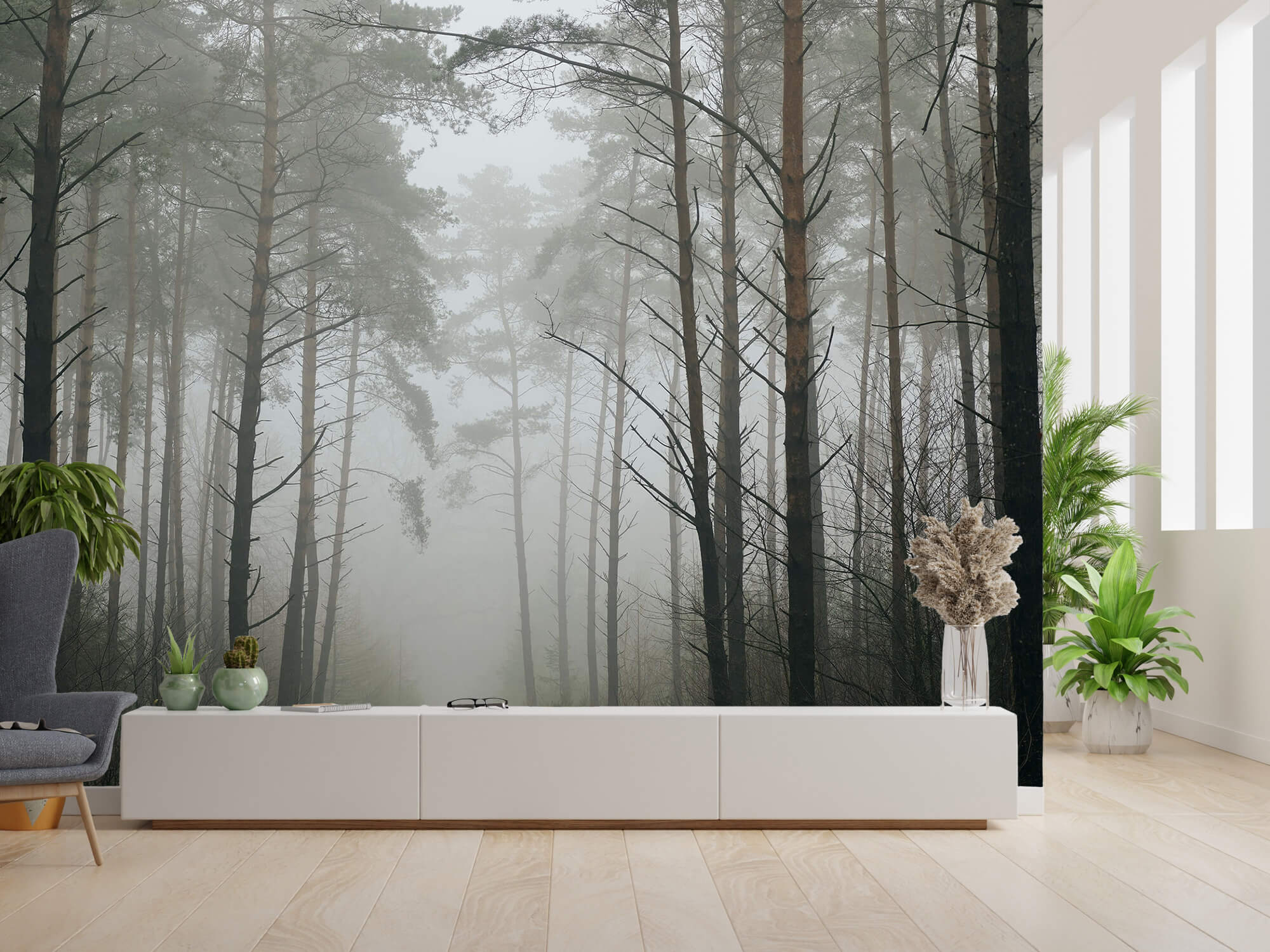 Naturaleza Papel pintado con Sendero en un bosque con niebla - Salón 9